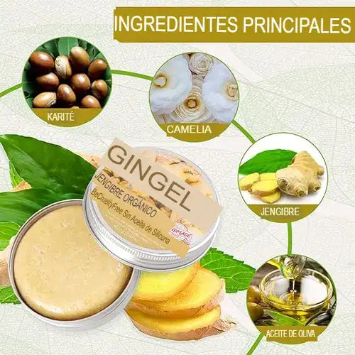Champú regenerador de jengibre® X 2 UNIDADES