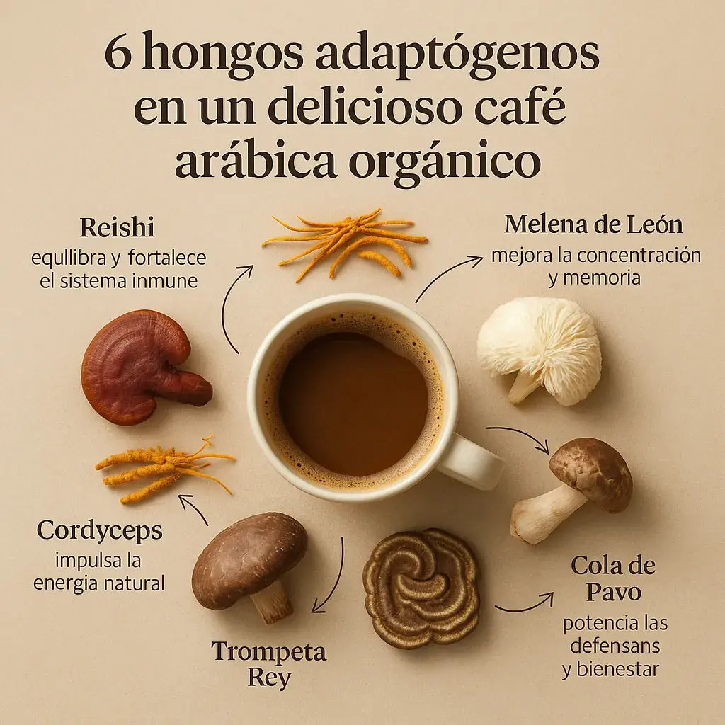 Encabezado