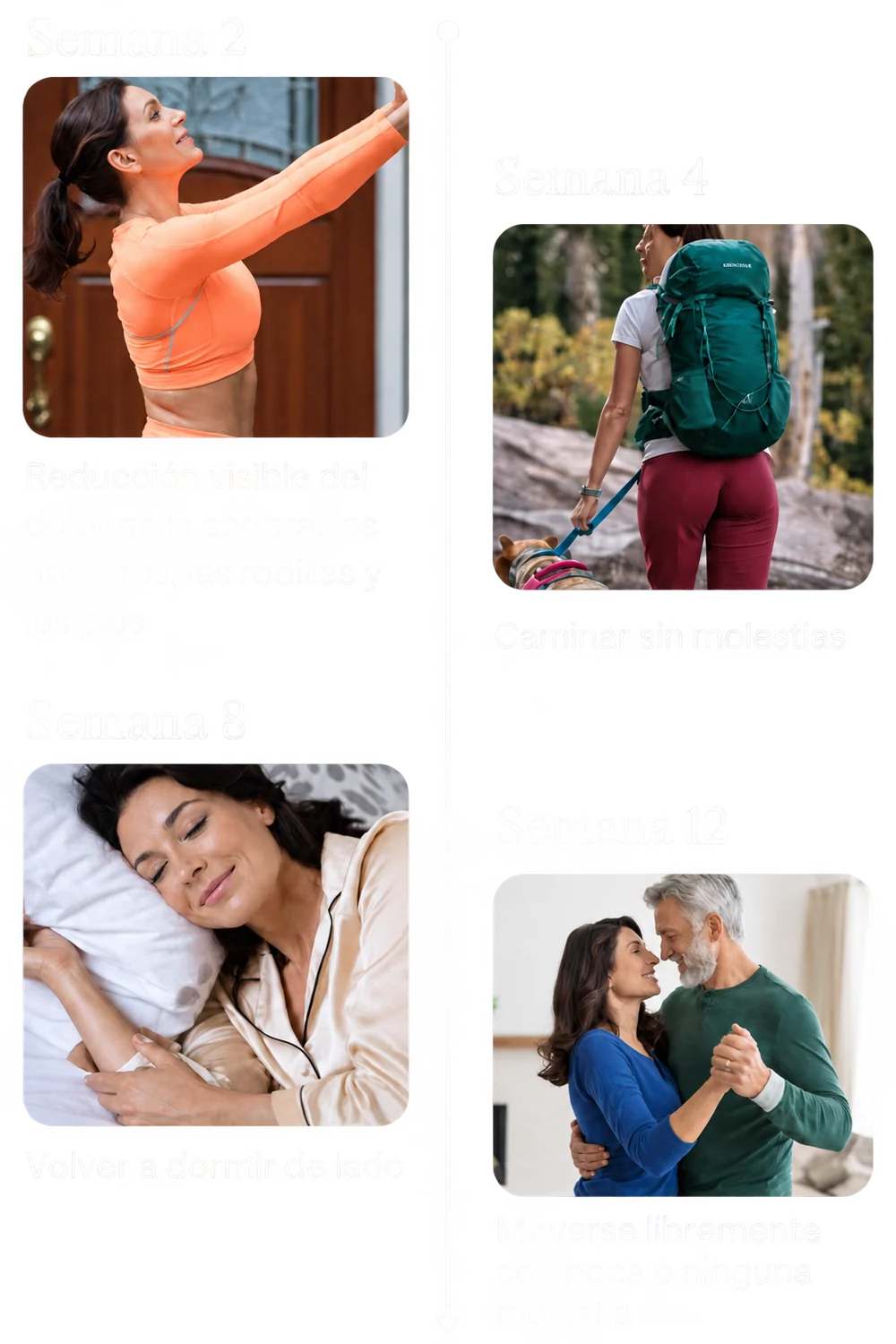 Encabezado