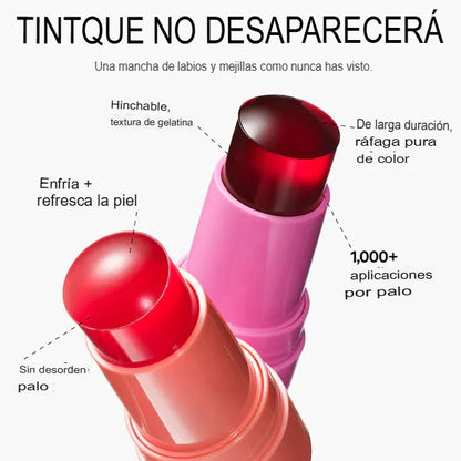 HIDRATA TUS LABIOS Y ROSTRO (Labial, Rubor y Sombra) 2X1 PAGUE 1 LLEVE 2