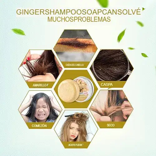 Champú regenerador de jengibre® X 2 UNIDADES