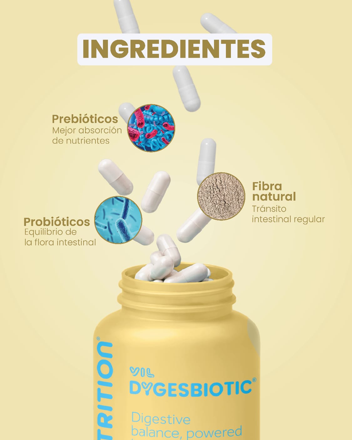 Vil Dygesbiotic ™Dile adiós al estreñimiento,colon irritable,gastritis,pesades y gases