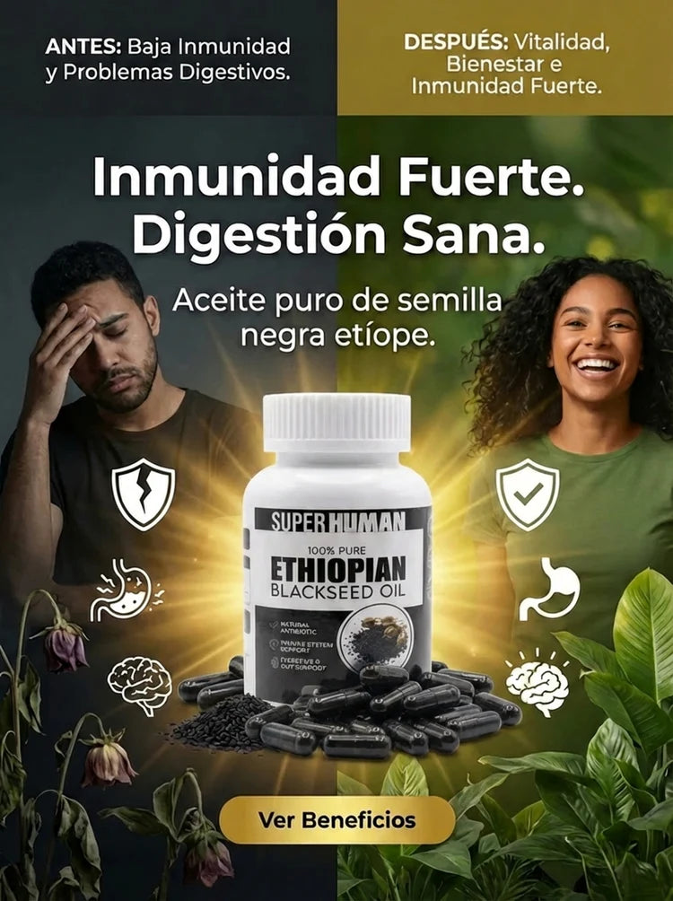 Encabezado